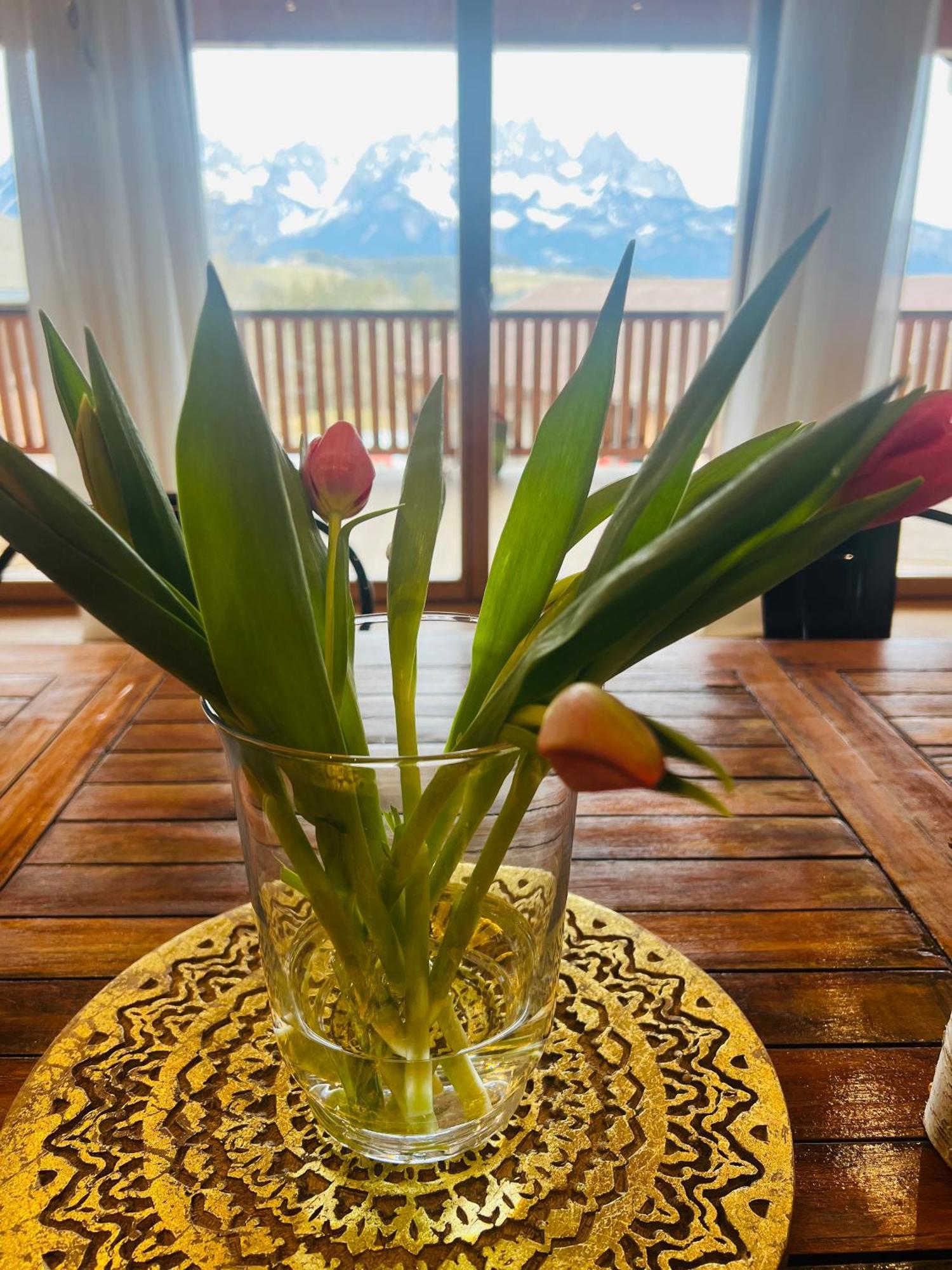 Ferienwohnung Bio Yoga Hof Kitzbühel Exterior foto